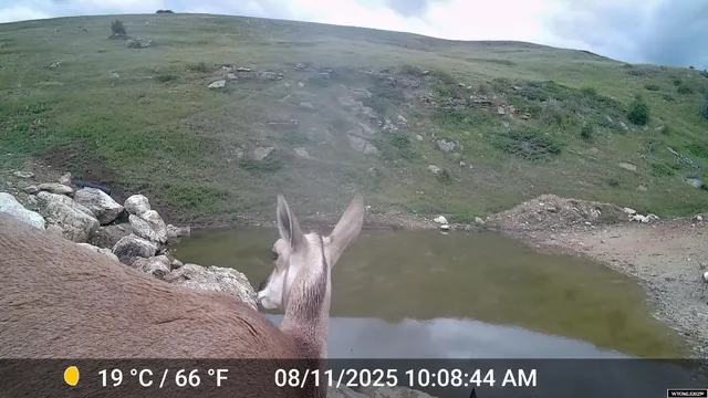 $1,850,000 | Muddy Guard Muddy Guard Muddy Guard, Buffalo, WY 82834