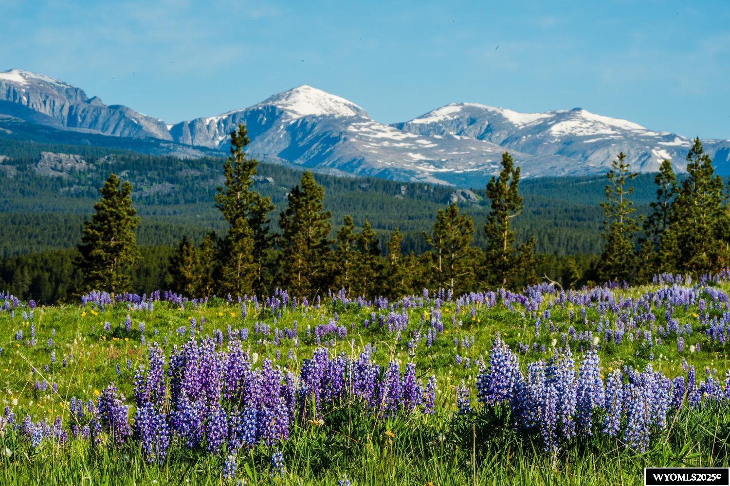 Muddy Guard Muddy Guard Muddy Guard Buffalo, WY 82834 - Photo 9 of 49