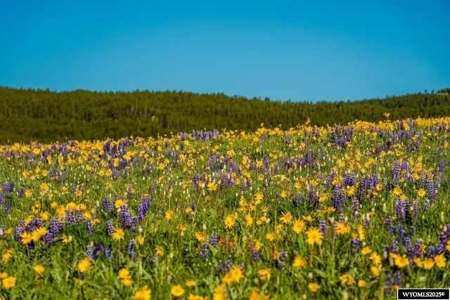 $1,850,000 | Muddy Guard Muddy Guard Muddy Guard, Buffalo, WY 82834