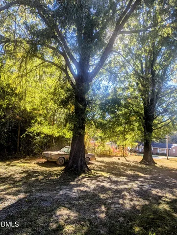 a tree in the middle of a yard