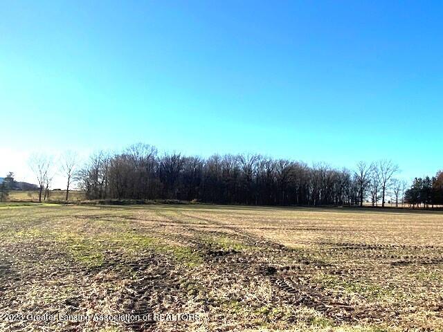 3404 South Lowell Road St. Johns, MI 48879 - Photo 72 of 76 IMG_4943 (002)