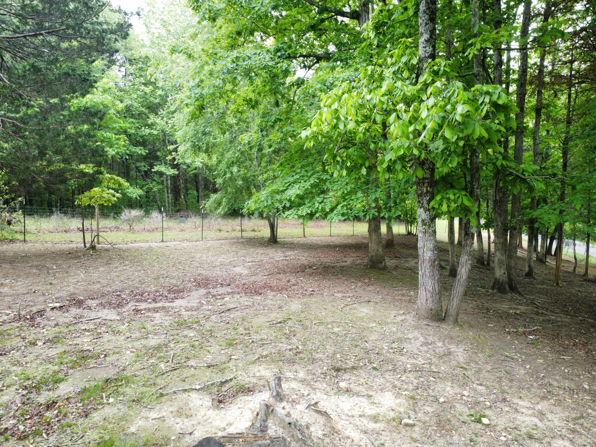 1200 Dawson Road White Bluff, TN 37187 - Photo 63 of 66