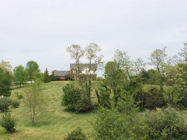 4019 Long Lick Road Stamping Ground, KY 40379 - Photo 2 of 31 Photo 2
