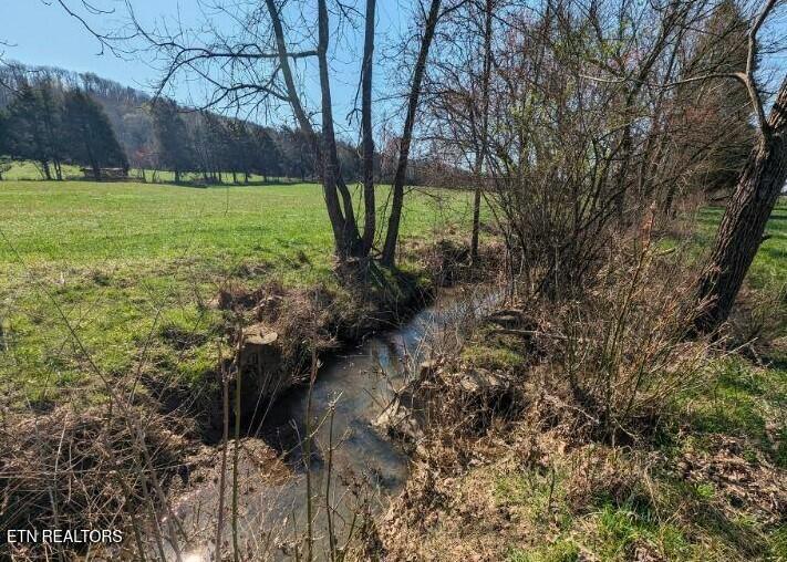 Paint Rock Valley Road Philadelphia, TN 37846 - Photo 11 of 50 Creek