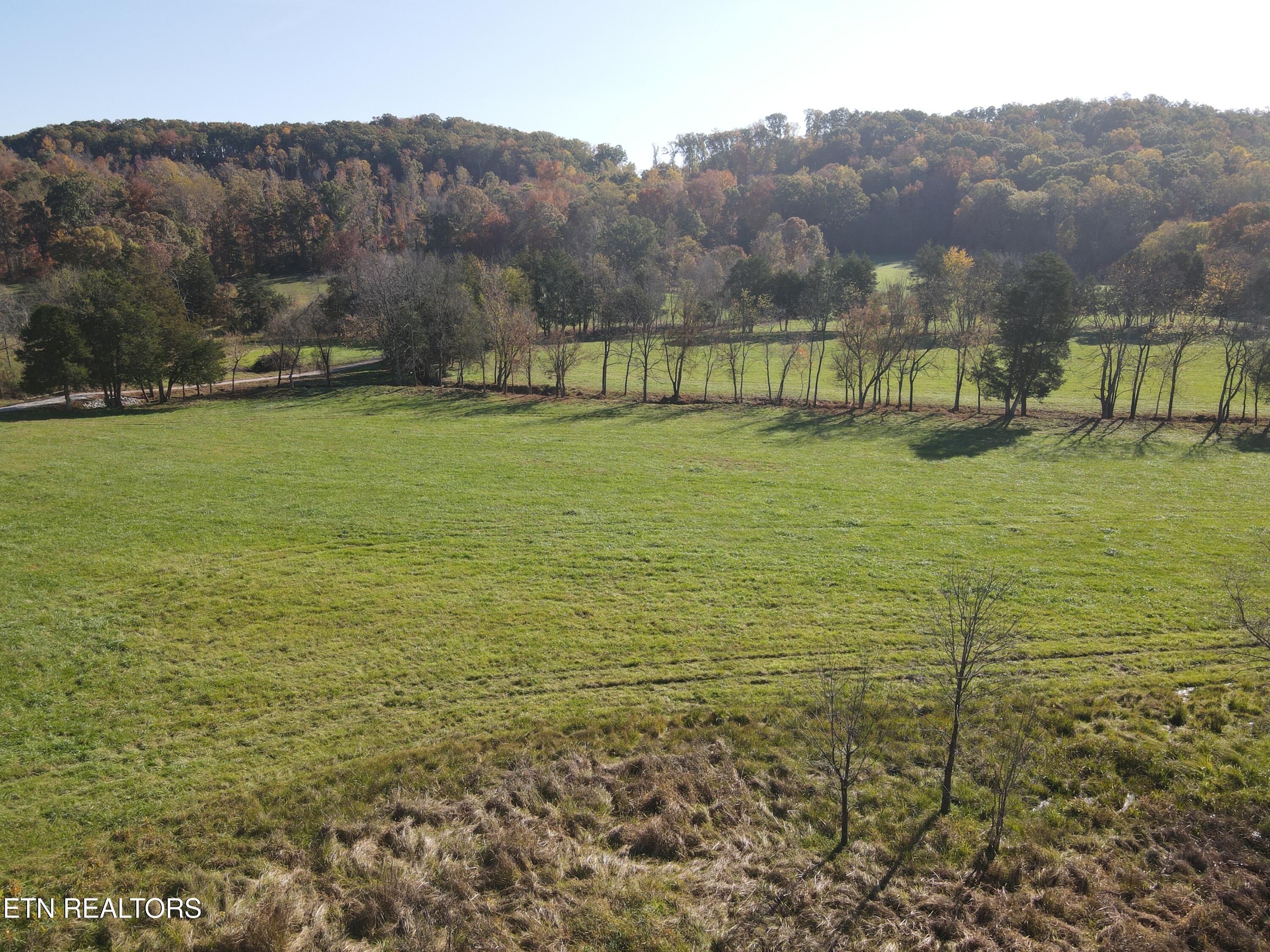 Paint Rock Valley Road Philadelphia, TN 37846 - Photo 12 of 50 DJI_0016
