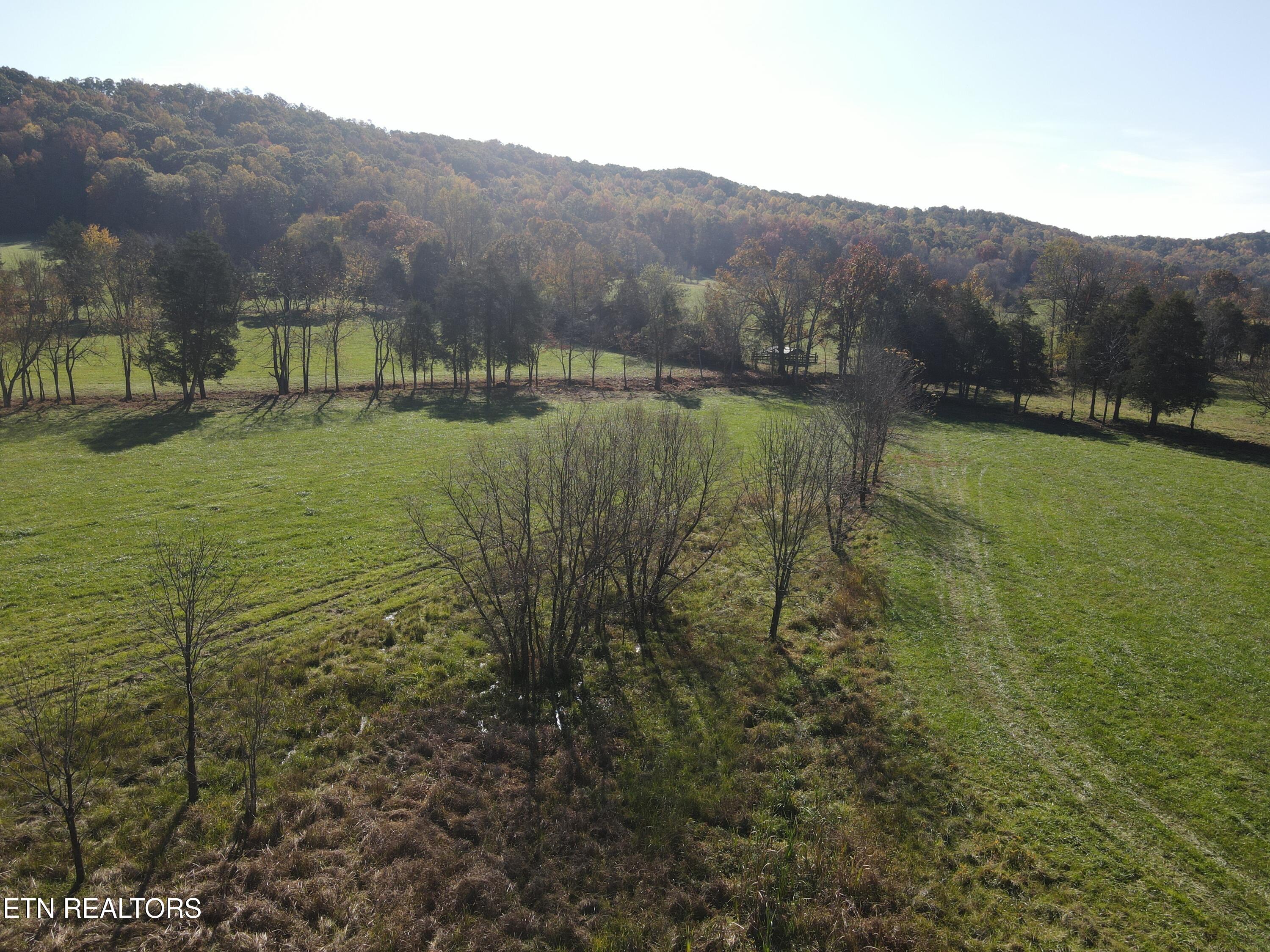 Paint Rock Valley Road Philadelphia, TN 37846 - Photo 13 of 50 DJI_0017