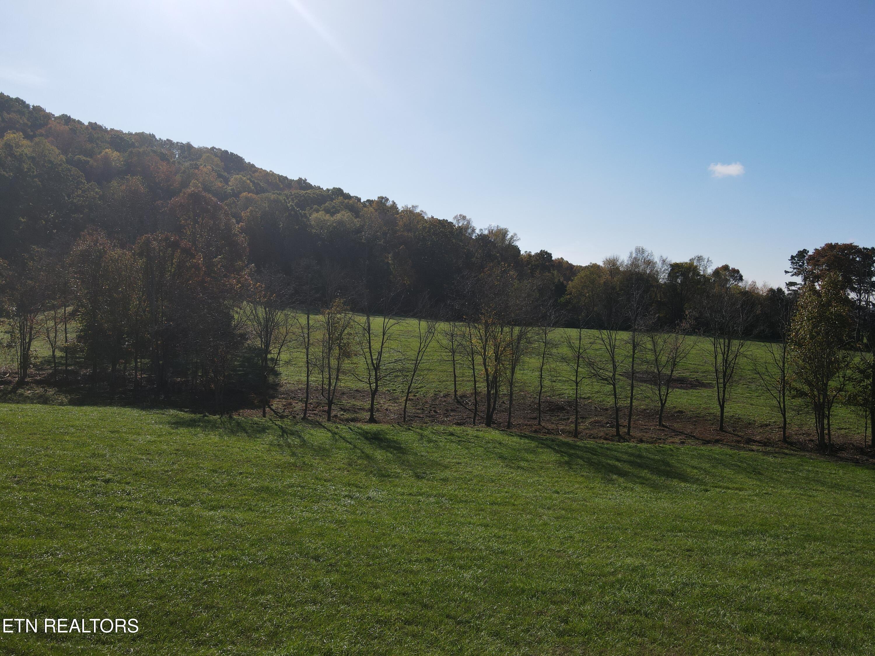 Paint Rock Valley Road Philadelphia, TN 37846 - Photo 22 of 50 DJI_0035