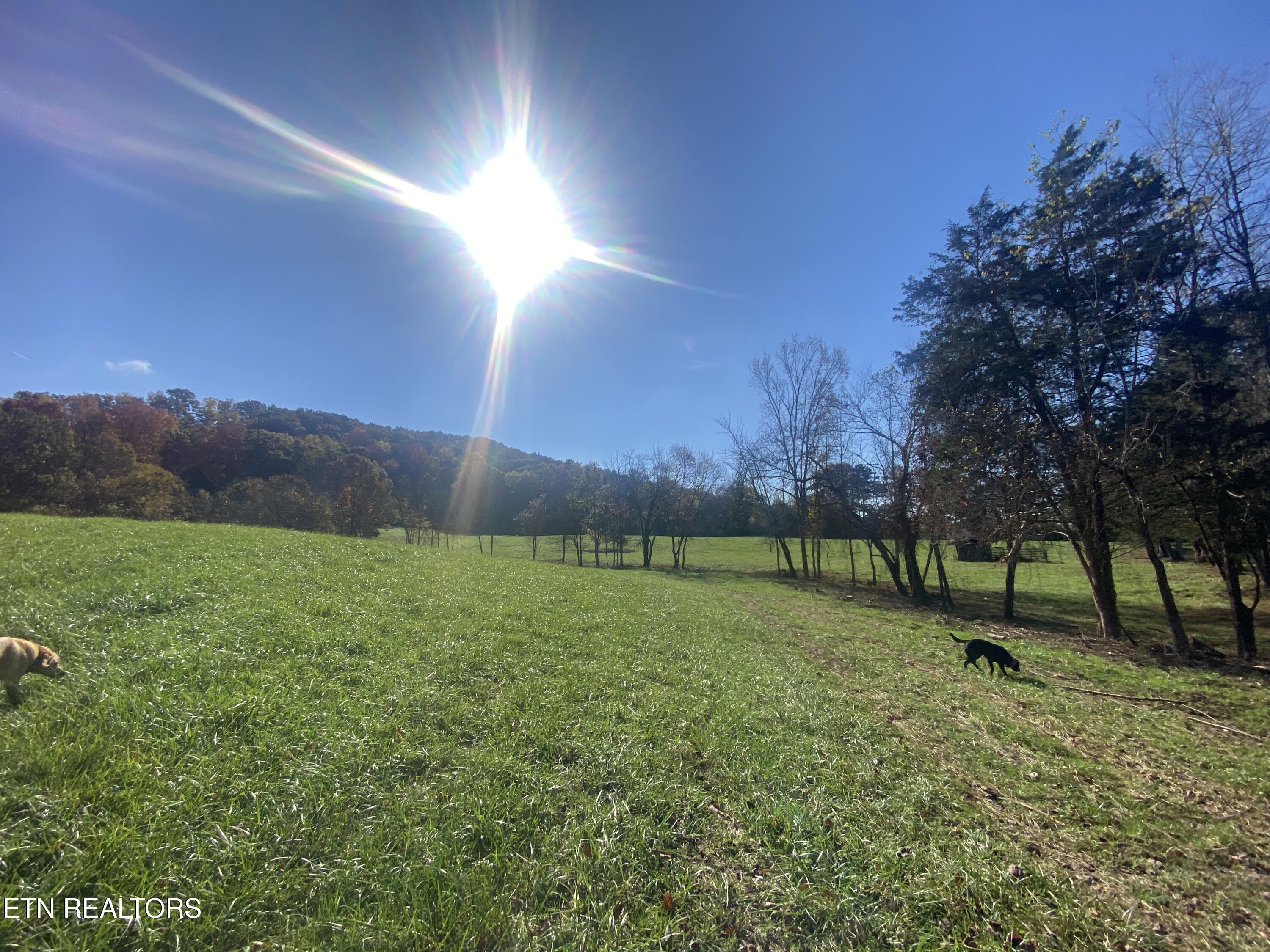 Paint Rock Valley Road Philadelphia, TN 37846 - Photo 42 of 50 IMG_5404