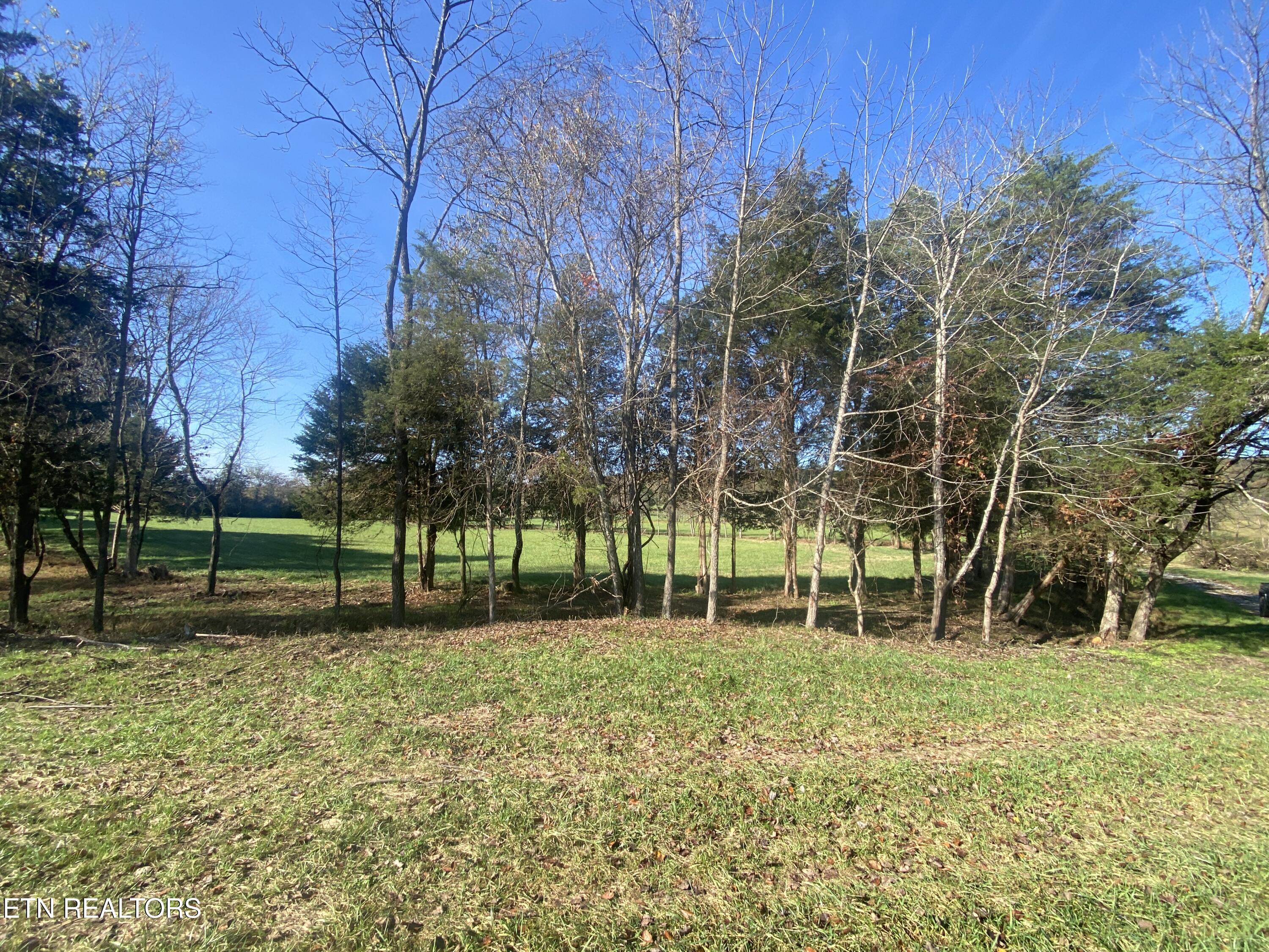 Paint Rock Valley Road Philadelphia, TN 37846 - Photo 44 of 50 IMG_5405