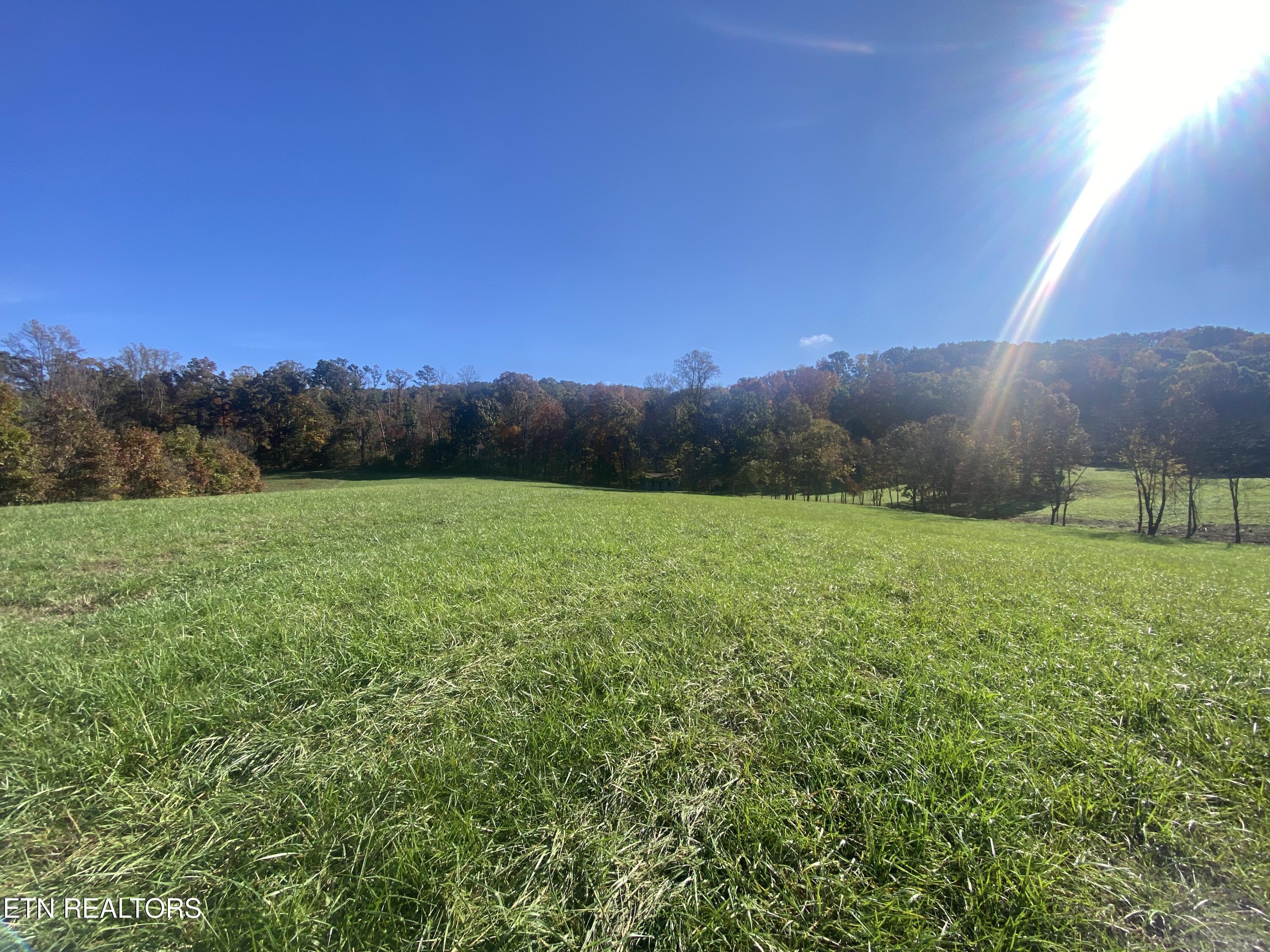 Paint Rock Valley Road Philadelphia, TN 37846 - Photo 45 of 50 IMG_5406
