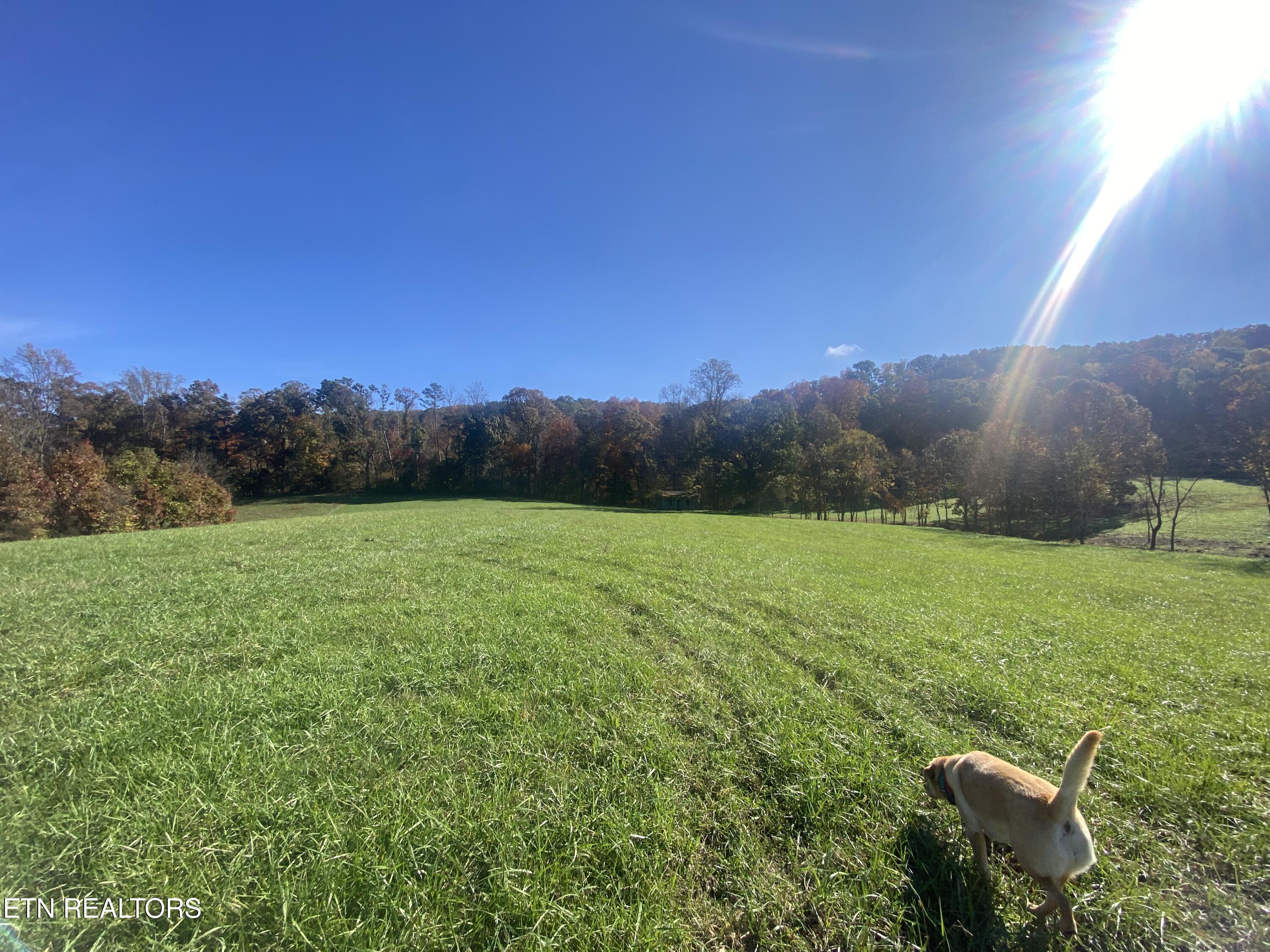 Paint Rock Valley Road Philadelphia, TN 37846 - Photo 47 of 50 IMG_5407