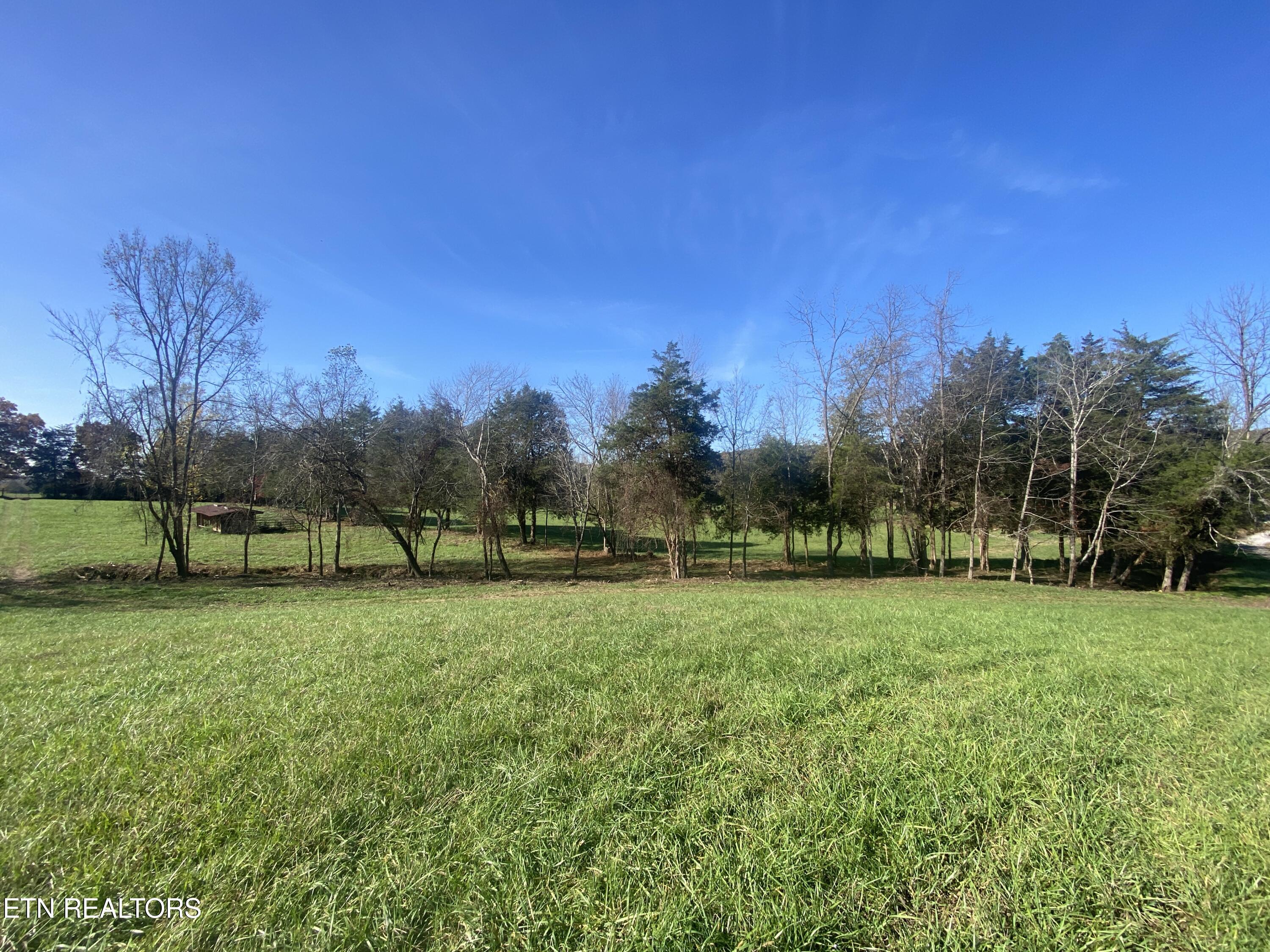 Paint Rock Valley Road Philadelphia, TN 37846 - Photo 50 of 50 IMG_5410