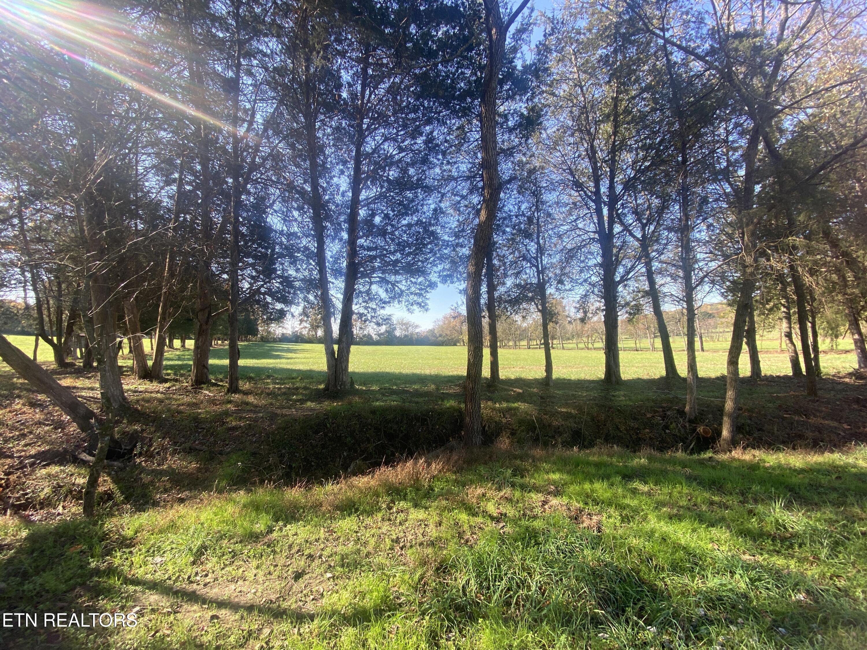 Paint Rock Valley Road Philadelphia, TN 37846 - Photo 6 of 50 Creek