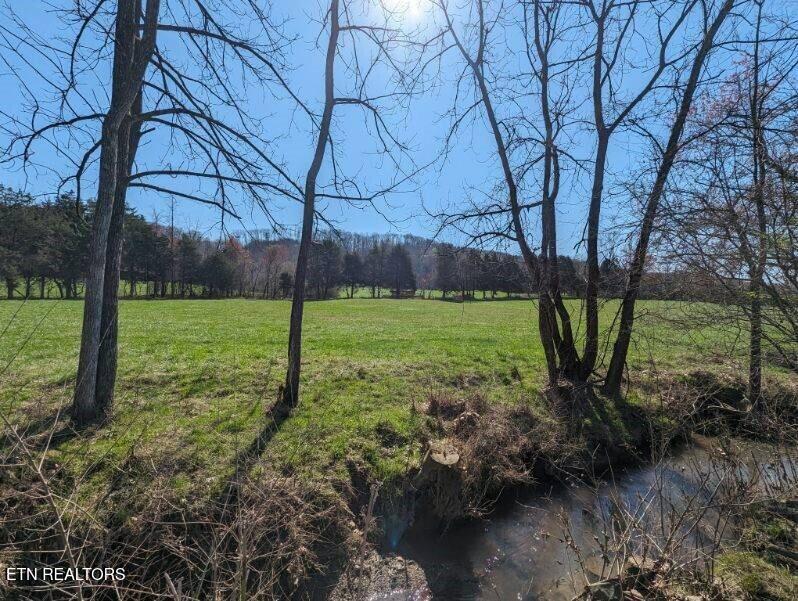 Paint Rock Valley Road Philadelphia, TN 37846 - Photo 10 of 50 image000002-1