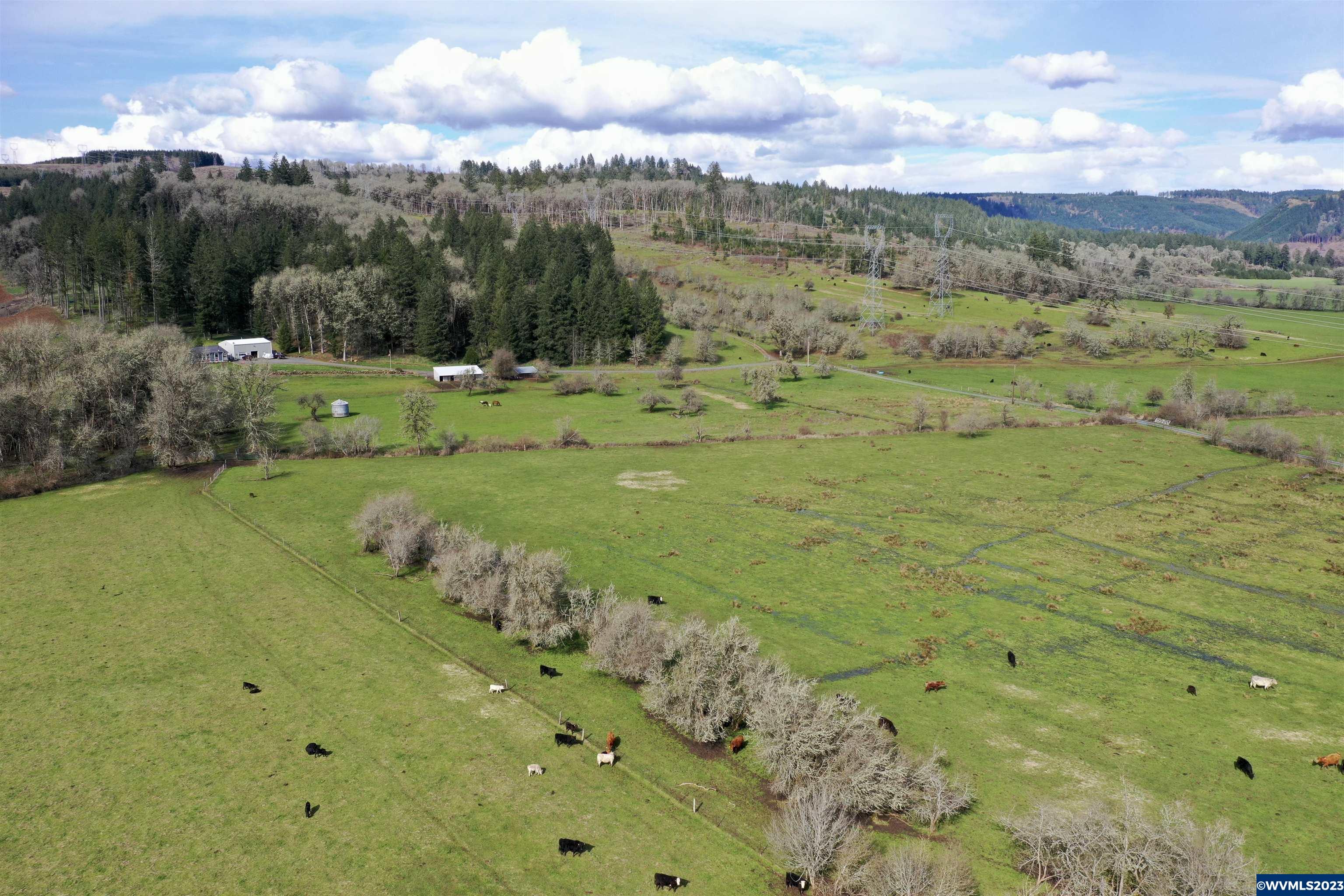 39483 Kingston Jordan Road Scio, OR 97374 - Photo 5 of 42 Gallery Image 5