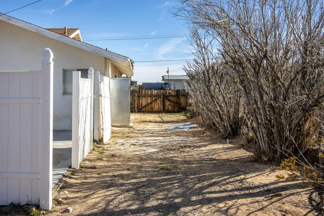 a view of a yard with a tree