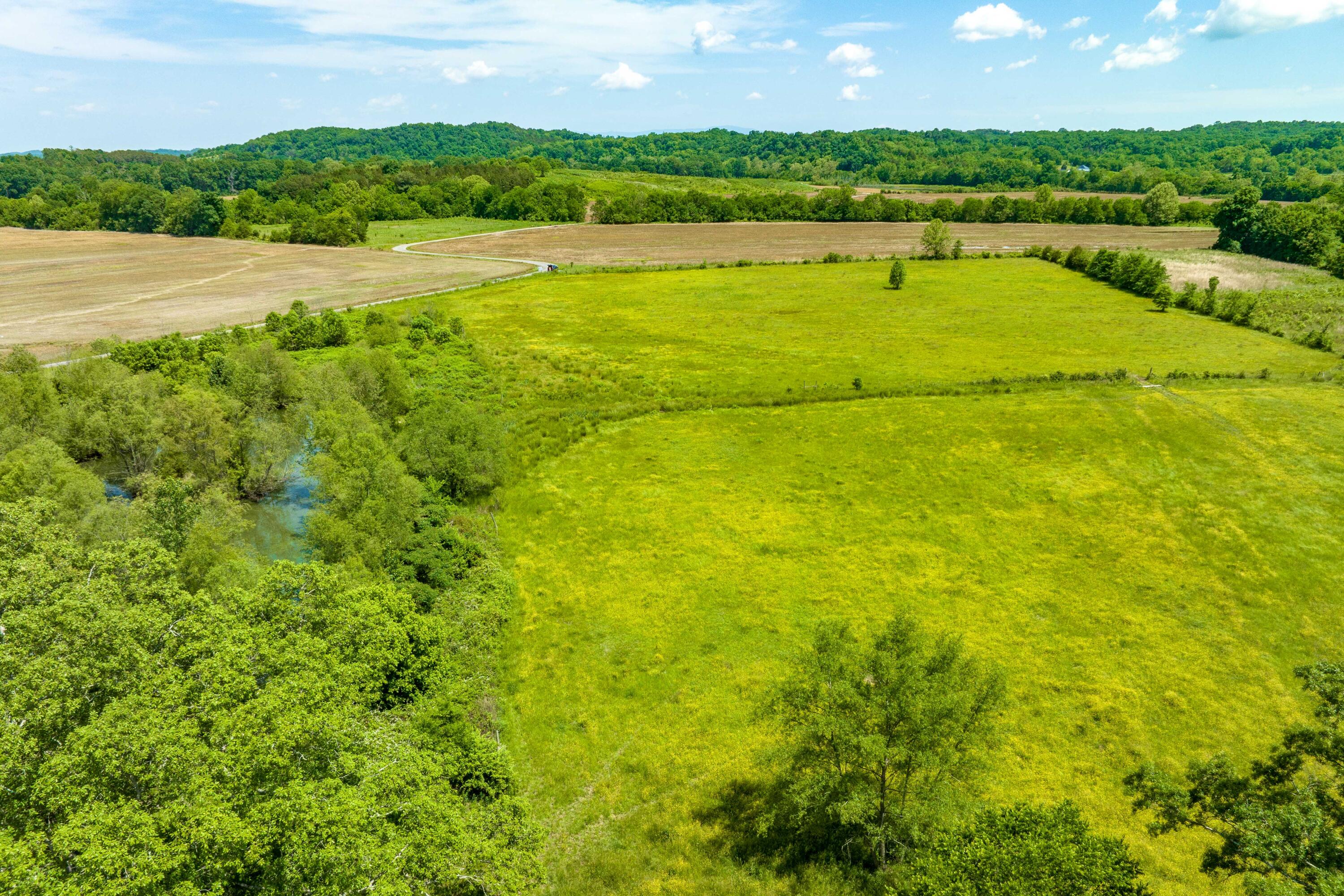 Tbd Toby Road Mohawk, TN 37810 - Photo 28 of 39 TBD Toby Rd (28 of 39)
