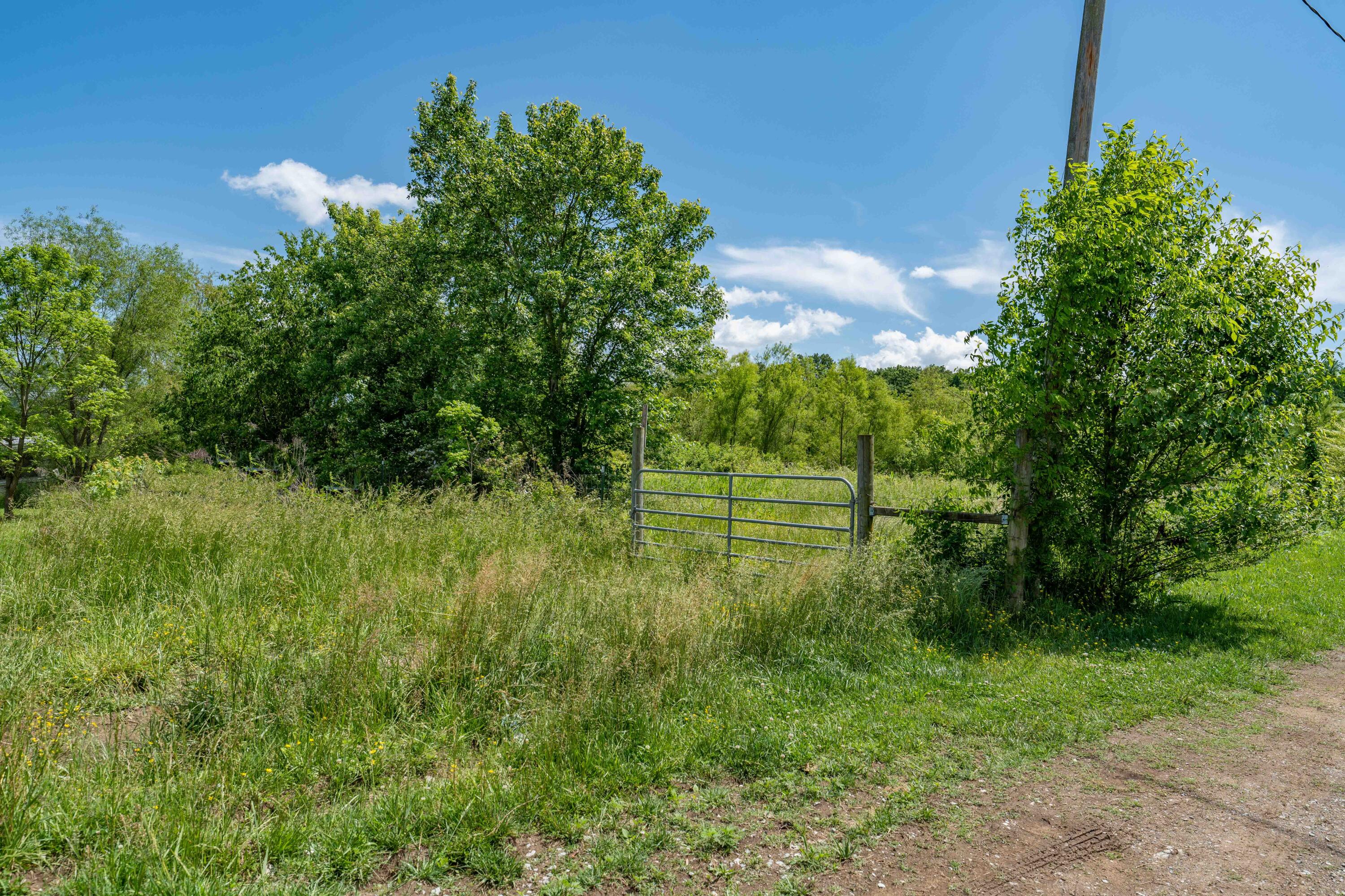 Tbd Toby Road Mohawk, TN 37810 - Photo 39 of 39 TBD Toby Rd (39 of 39)