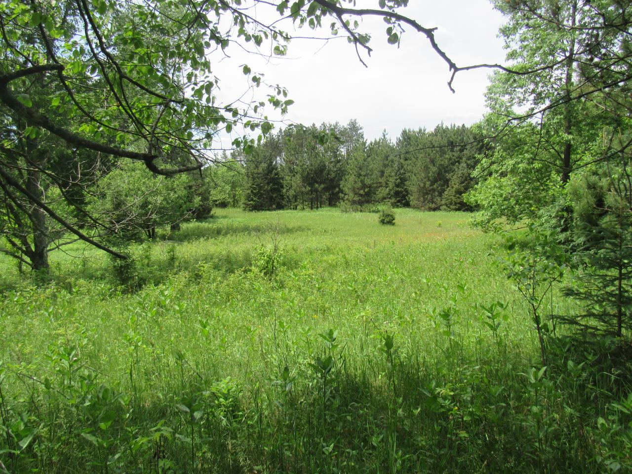 Tbd Fatla Road Armstrong Creek, WI 54103 - Photo 1 of 12 Gallery Image 1