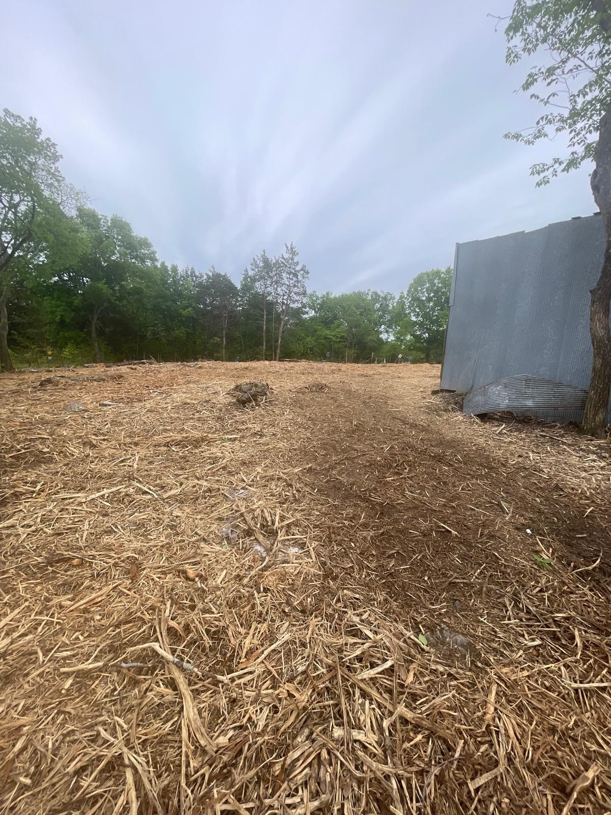 0 Mason Road La Vergne, TN 37086 - Photo 8 of 9