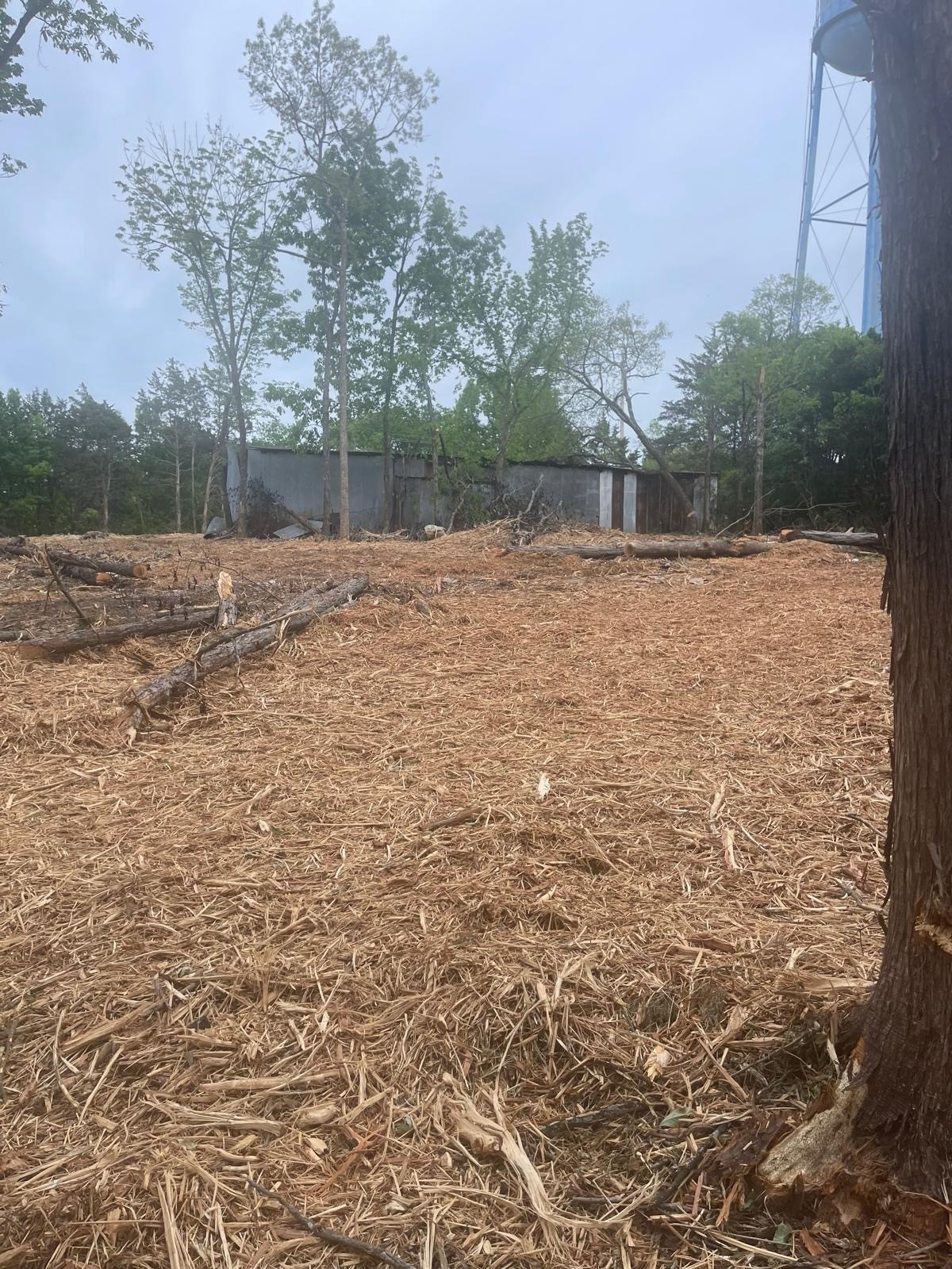 0 Mason Road La Vergne, TN 37086 - Photo 9 of 9