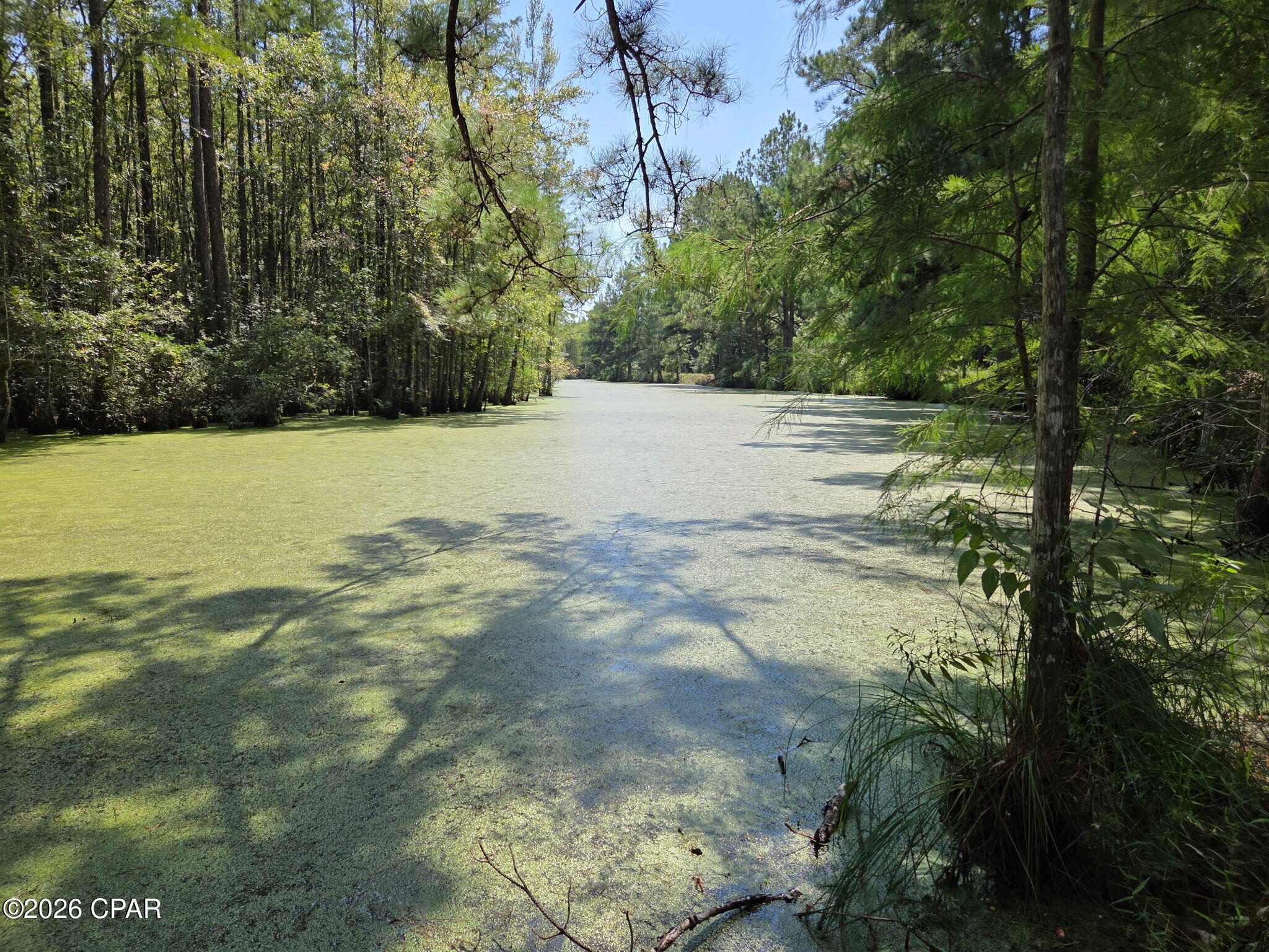 Tbd Poplar Head Road Bonifay, FL 32425 - Photo 18 of 20 Gallery Image 18