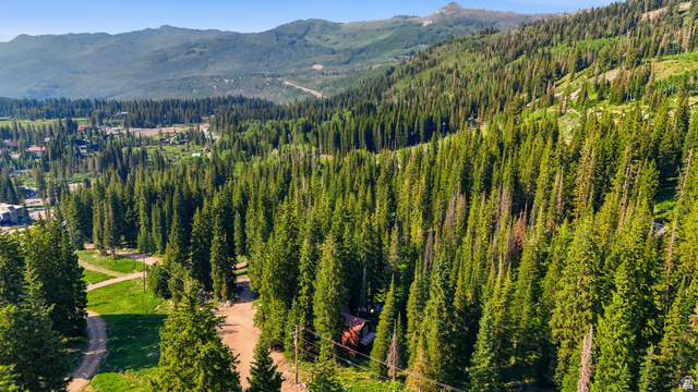 8505 South Snake Crk Road Salt Lake City, UT 84121 - Photo 61 of 67 Expansive mountain terrain with dense evergreen forests