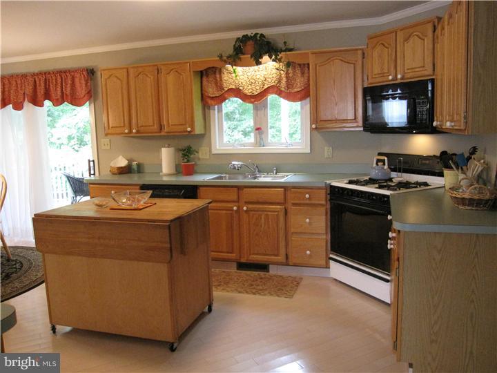 10 Middle Road Newark, DE 19711 - Photo 8 of 24 Kitchen