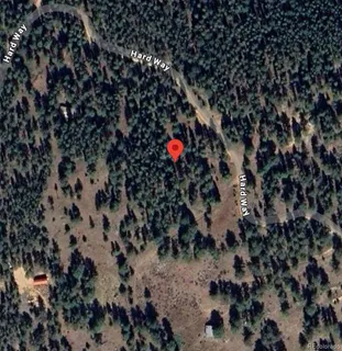 a picture of flowers