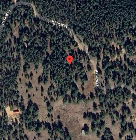 a picture of flowers