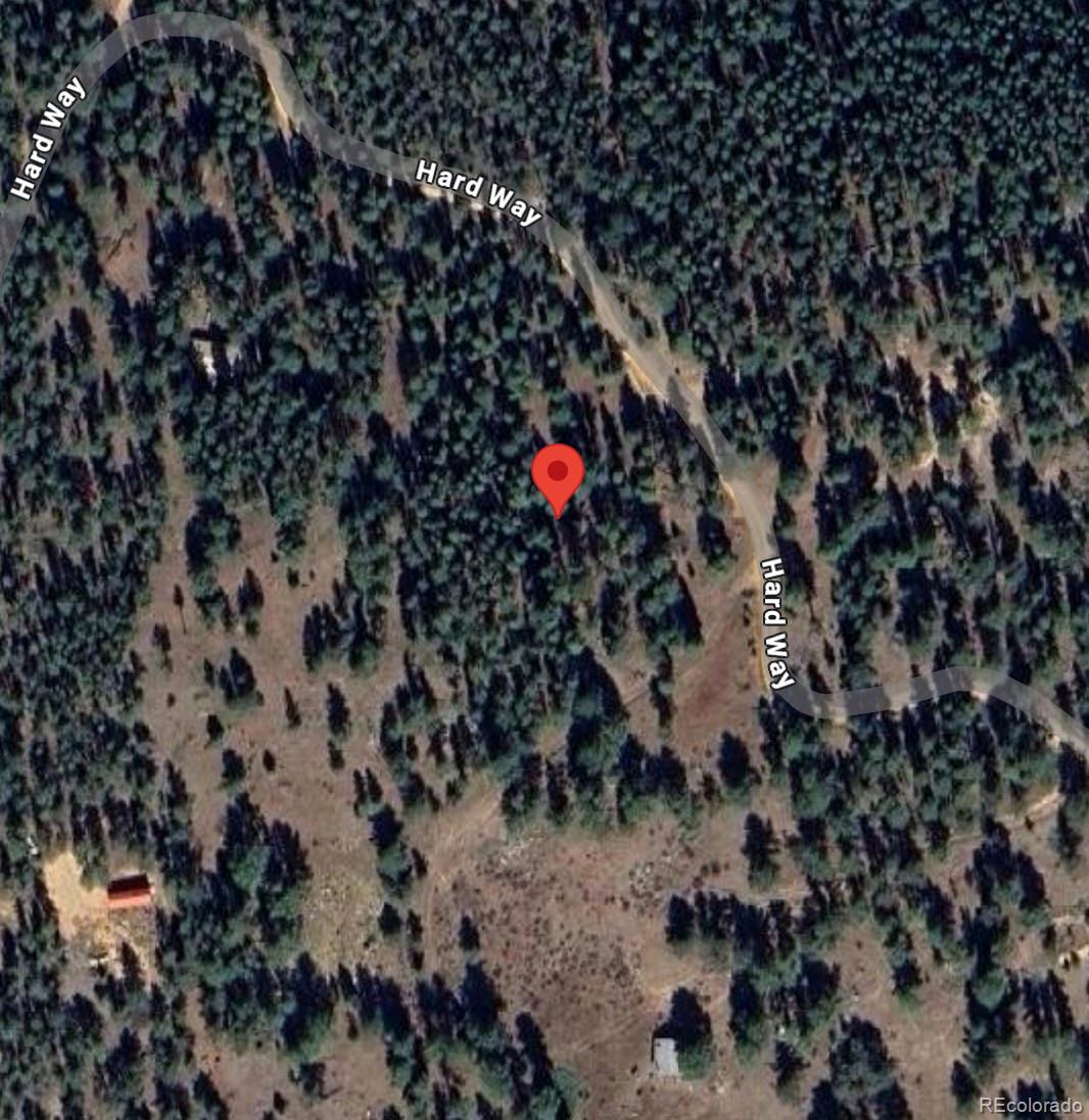 a picture of flowers