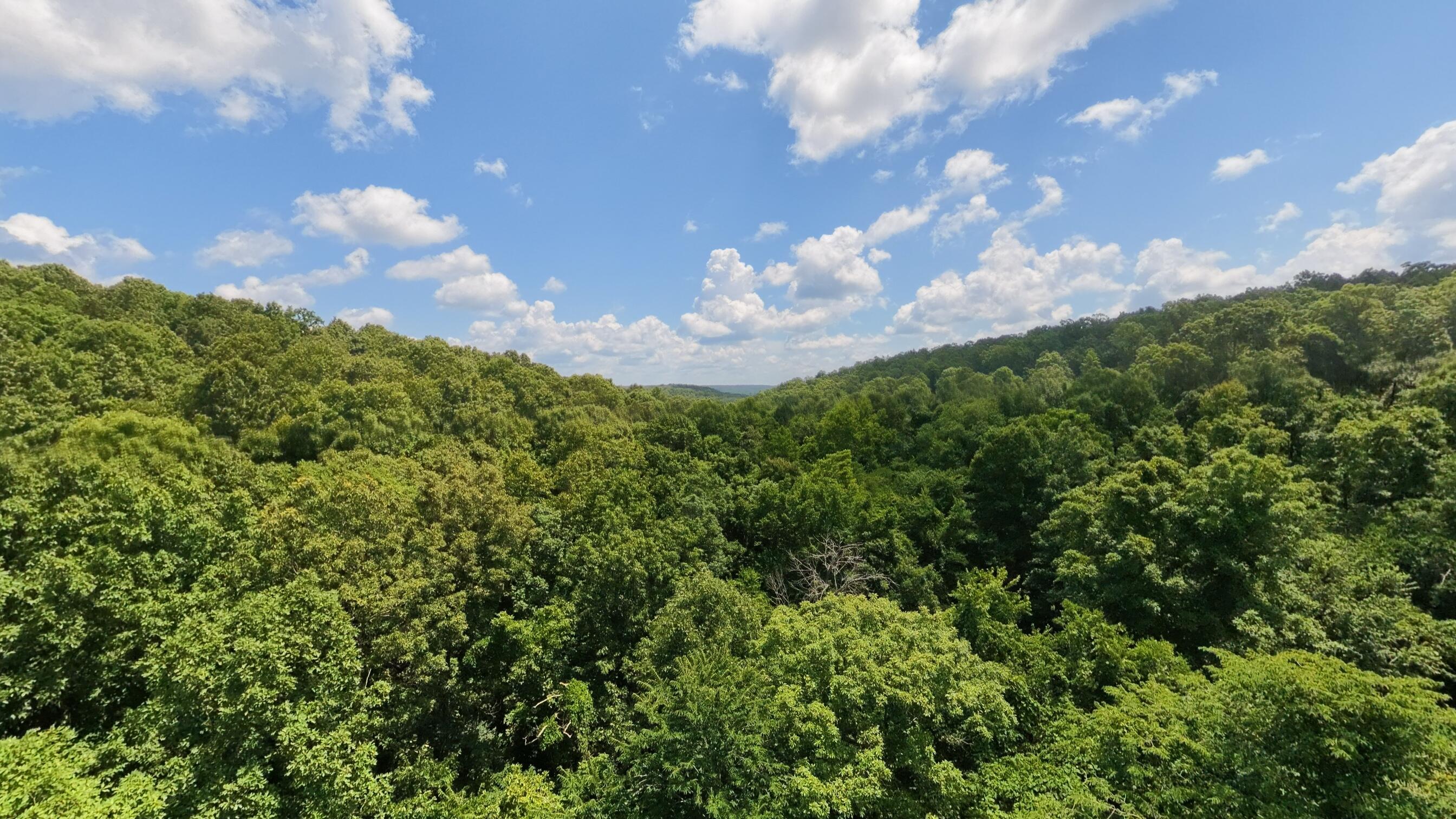 10824 Upper Janes Creek Road Ravenden, AR 72459 - Photo 68 of 79 93 acre hunting property067