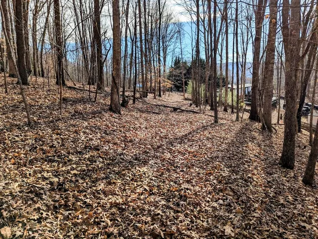 $34,500 | 0 Irish Mountain Road, Hiwassee, VA 24347