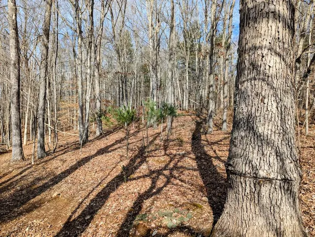 $34,500 | 0 Irish Mountain Road, Hiwassee, VA 24347