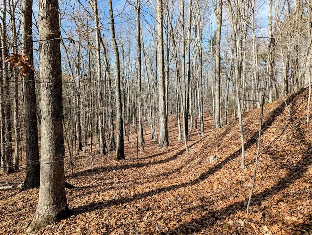 $34,500 | 0 Irish Mountain Road, Hiwassee, VA 24347