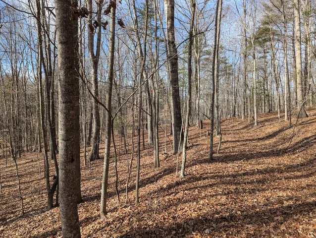 $34,500 | 0 Irish Mountain Road, Hiwassee, VA 24347