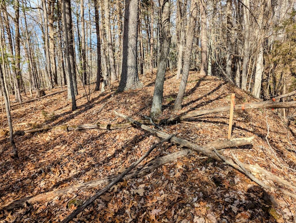 0 Irish Mountain Road Hiwassee, VA 24347 - Photo 6 of 8 1 (6)