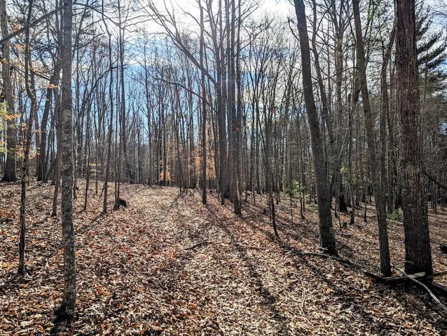 $34,500 | 0 Irish Mountain Road, Hiwassee, VA 24347