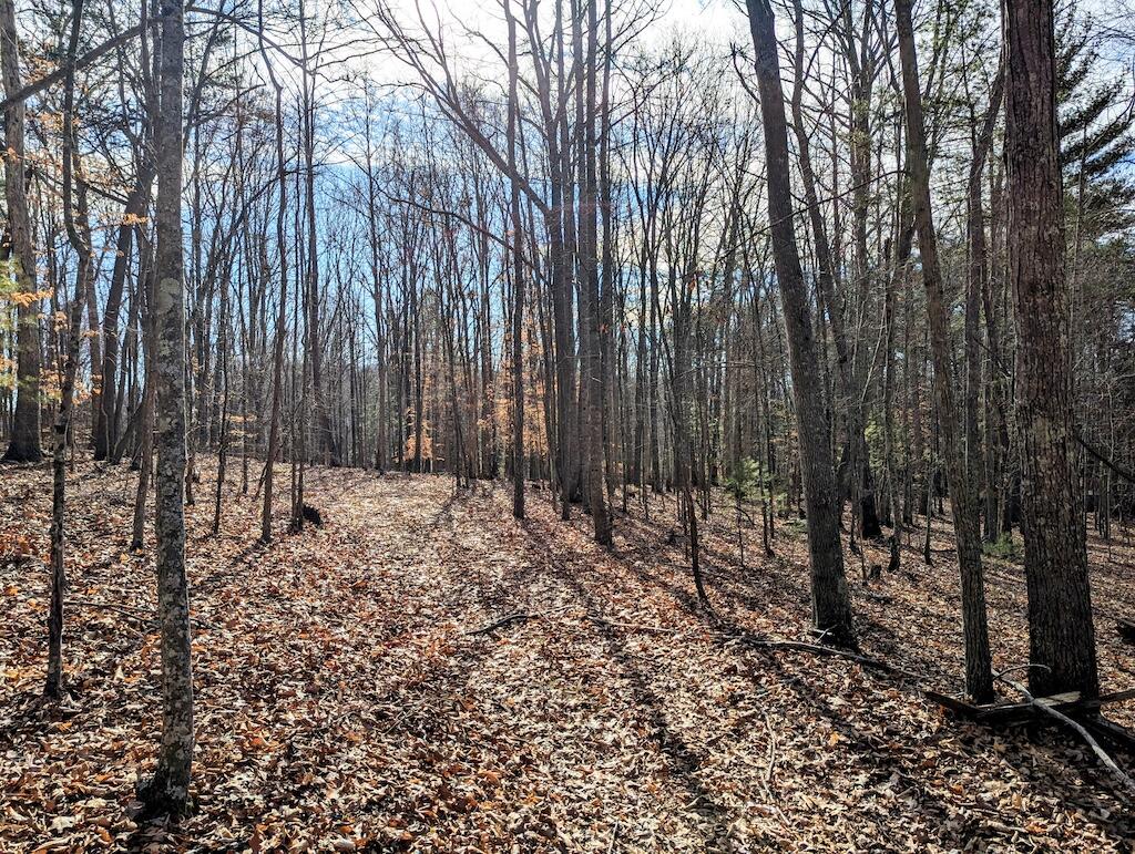 0 Irish Mountain Road Hiwassee, VA 24347 - Photo 8 of 8 1 (8)