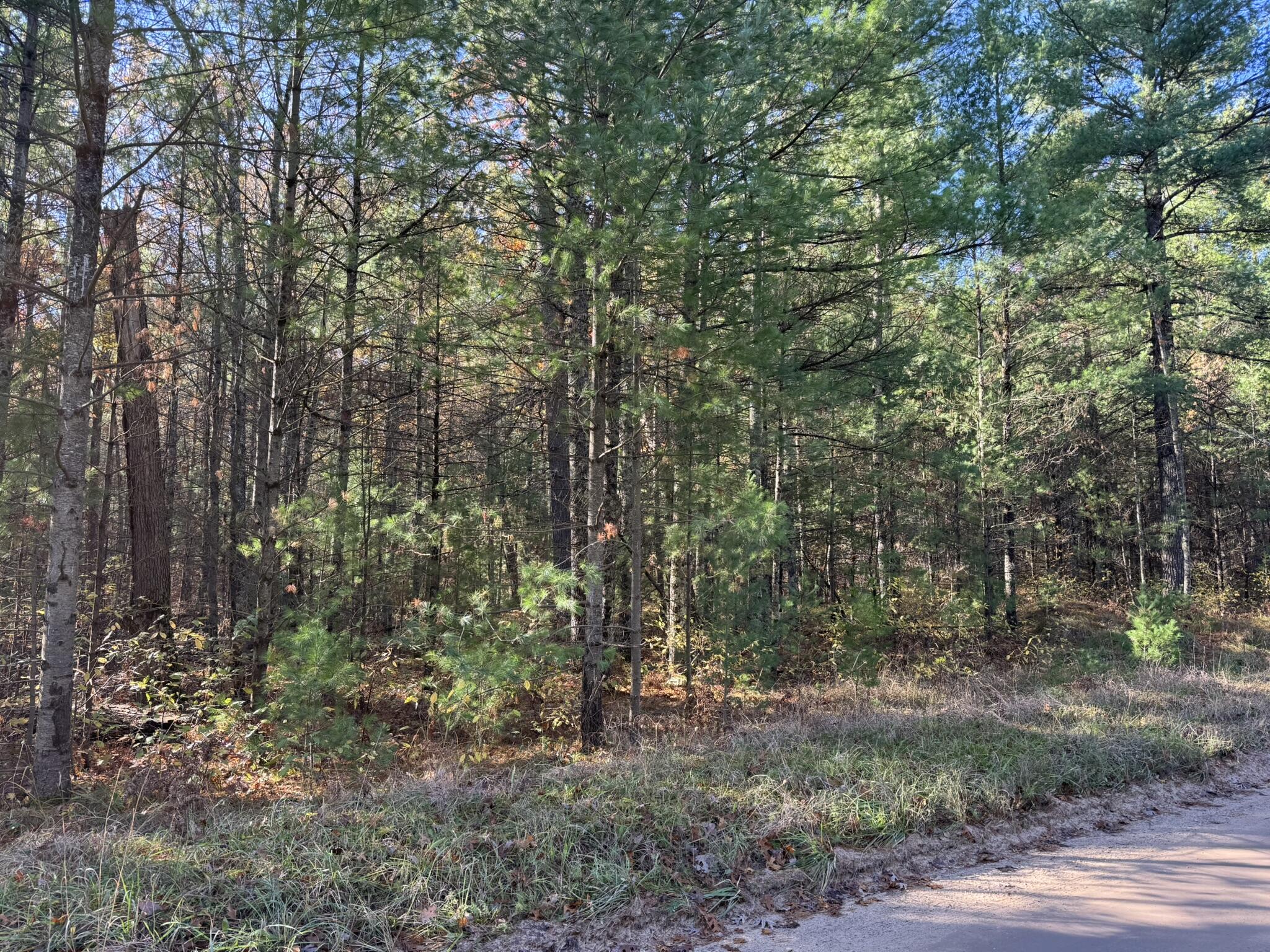 1 County Line Road Manistee, MI 49660 - Photo 1 of 3 IMG_1364