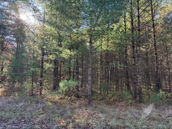 $35,900 | 1 County Line Road, Manistee, MI 49660
