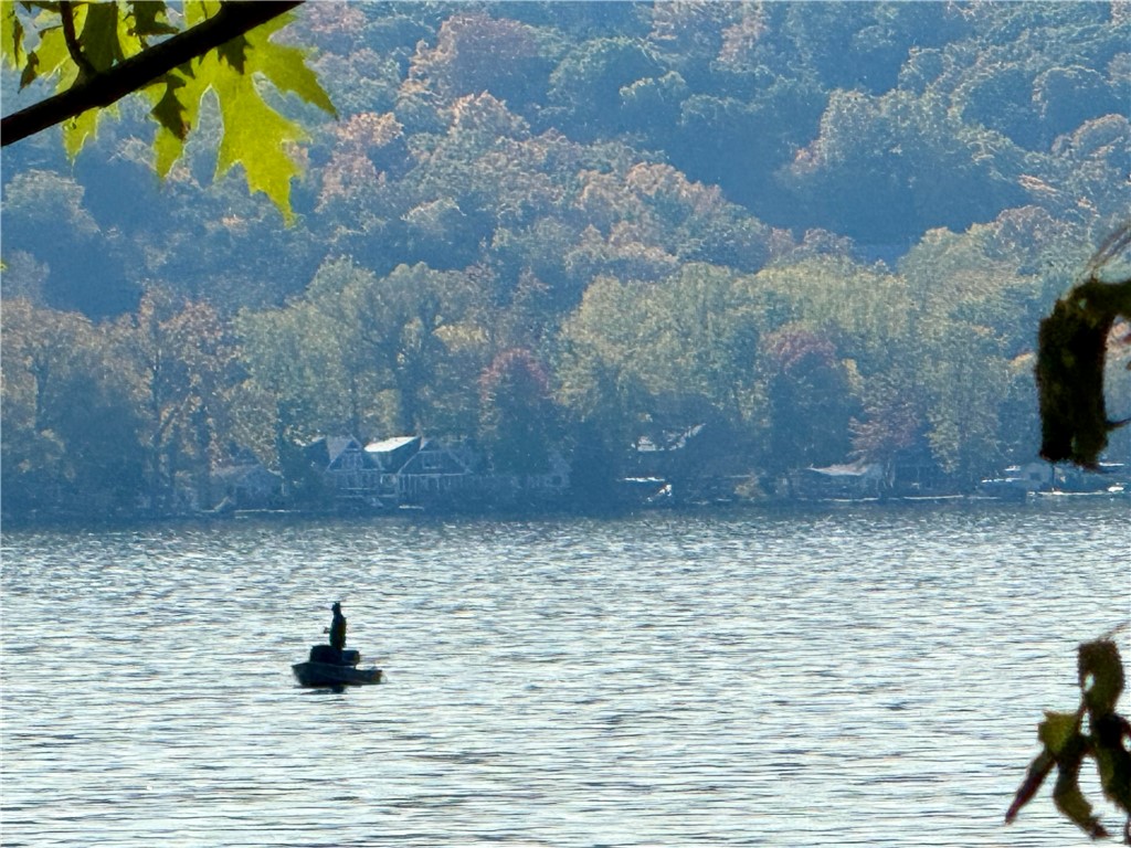 8833 Sandy Bottom Road Richmond, NY 14471 - Photo 38 of 50 BOATING ON HONEOYE LAKE