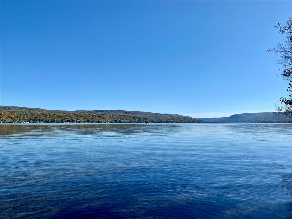 8833 Sandy Bottom Road Richmond, NY 14471 - Photo 6 of 50 SPECTACULAR VIEWS