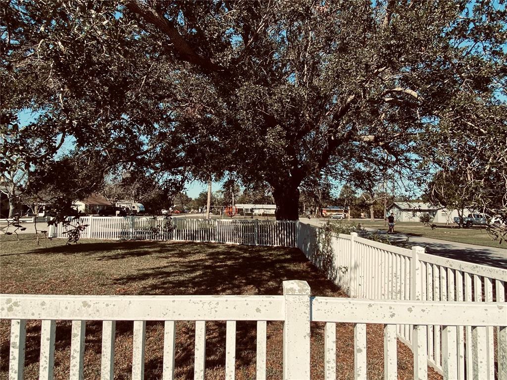 910 Lake Avenue Edgewater, FL 32132 - Photo 21 of 23 a park view