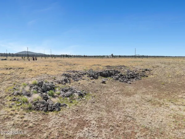 a view of an ocean beach