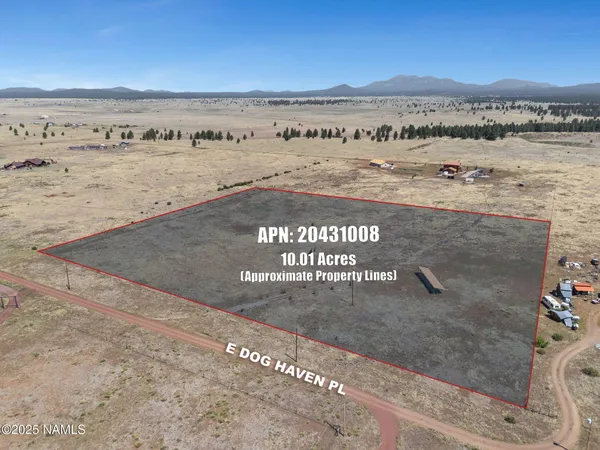 a view of an ocean beach