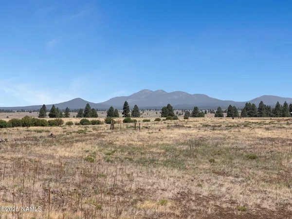a view of a town with mountains in the background