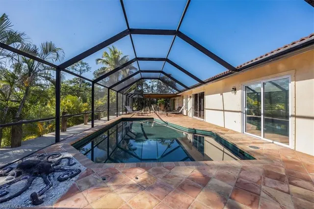 a view of a yard with plants and large trees