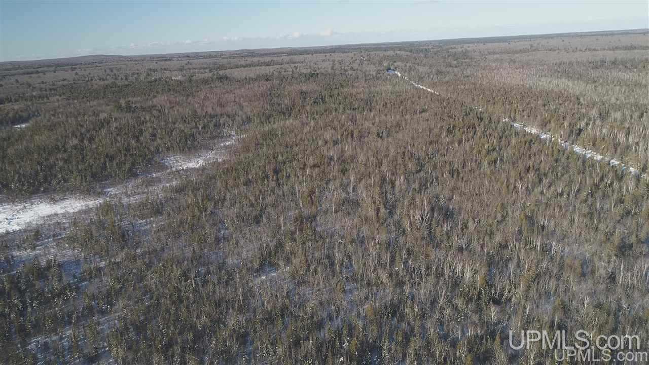 80-acres Co Rd N415 McMillan, MI 49853 - Photo 32 of 36