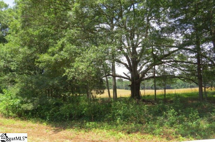 9331 Anderson Road Easley, SC 29642 - Photo 13 of 23